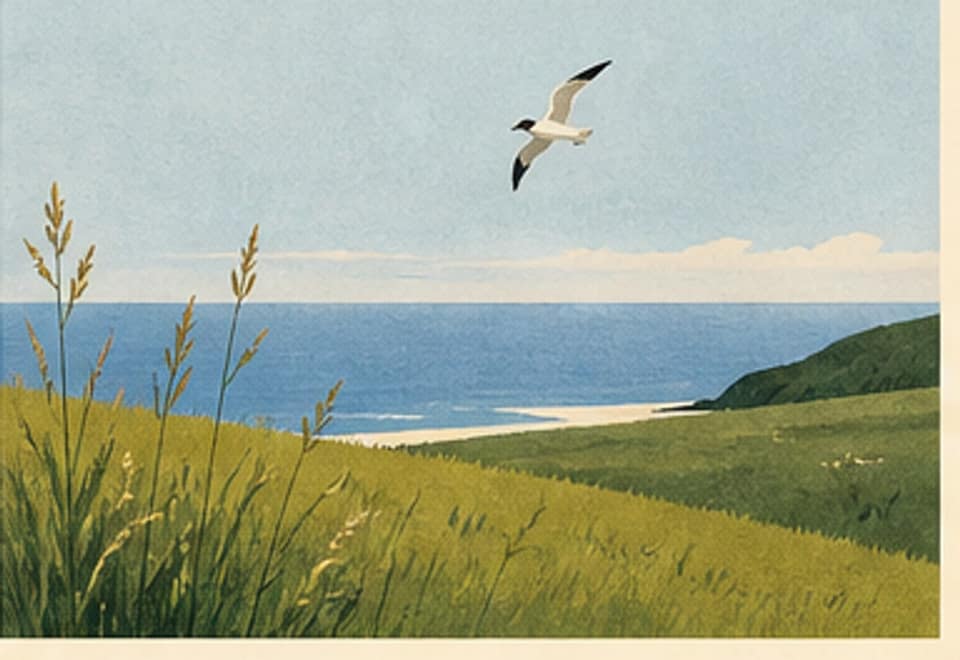 COASTAL FIELD — minimal Saturday morning artwork